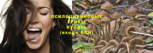 ALPHA-PVP Богородицк
