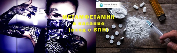 шишки Бородино